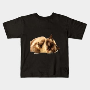 Sleepy cat Kids T-Shirt